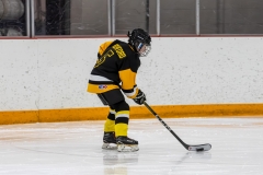 Bridges-Blades-2026-1