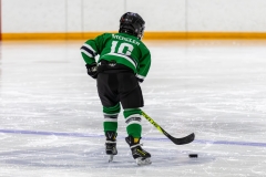 Bridges-Blades-2026-10