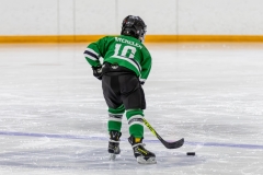 Bridges-Blades-2026-11