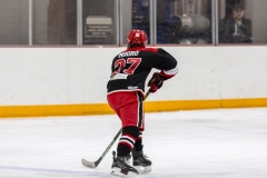 Bridges-Blades-2026-116