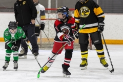 Bridges-Blades-2026-124