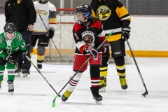 Bridges-Blades-2026-126