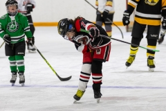 Bridges-Blades-2026-129