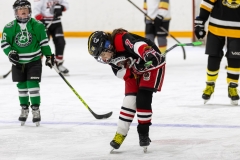 Bridges-Blades-2026-131