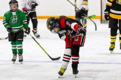 Bridges-Blades-2026-132