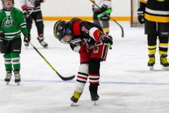 Bridges-Blades-2026-133