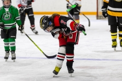 Bridges-Blades-2026-134