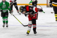 Bridges-Blades-2026-136