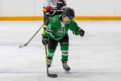 Bridges-Blades-2026-153