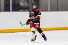 Bridges-Blades-2026-156