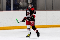 Bridges-Blades-2026-157