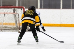 Bridges-Blades-2026-159