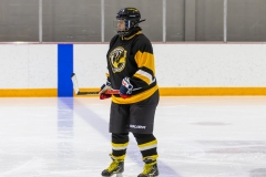 Bridges-Blades-2026-16
