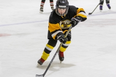 Bridges-Blades-2026-165