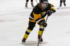 Bridges-Blades-2026-167