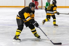 Bridges-Blades-2026-17