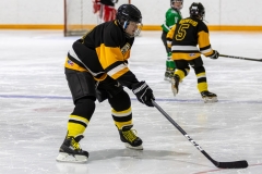 Bridges-Blades-2026-19
