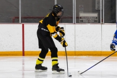 Bridges-Blades-2026-196