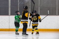 Bridges-Blades-2026-2