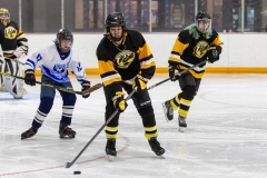 Bridges-Blades-2026-214