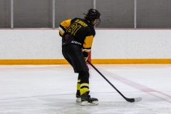 Bridges-Blades-2026-244