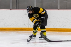 Bridges-Blades-2026-25