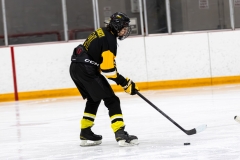 Bridges-Blades-2026-250
