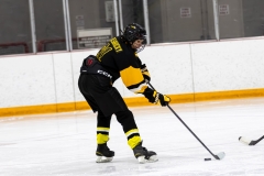 Bridges-Blades-2026-252