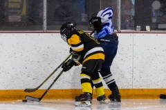 Bridges-Blades-2026-26