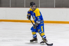 Bridges-Blades-2026-266