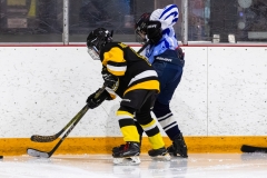 Bridges-Blades-2026-27