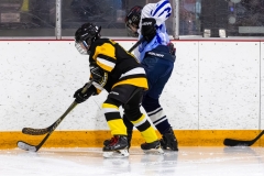 Bridges-Blades-2026-28