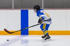 Bridges-Blades-2026-284