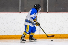 Bridges-Blades-2026-287
