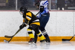 Bridges-Blades-2026-29