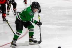 Bridges-Blades-2026-3