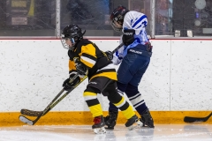 Bridges-Blades-2026-30