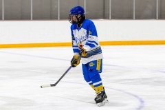 Bridges-Blades-2026-307