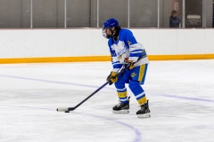 Bridges-Blades-2026-311
