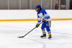 Bridges-Blades-2026-315