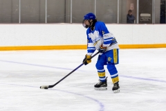 Bridges-Blades-2026-316