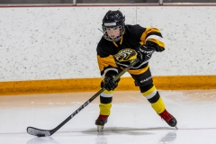 Bridges-Blades-2026-32