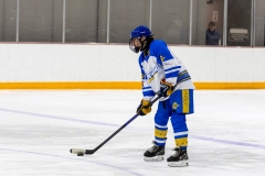 Bridges-Blades-2026-320
