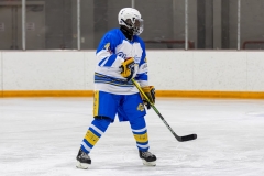 Bridges-Blades-2026-329