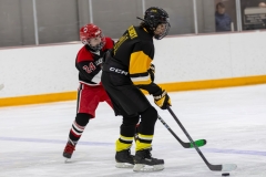 Bridges-Blades-2026-331