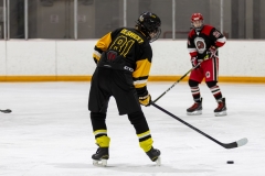 Bridges-Blades-2026-339