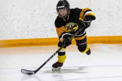 Bridges-Blades-2026-34