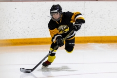 Bridges-Blades-2026-35