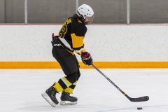 Bridges-Blades-2026-352