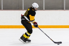 Bridges-Blades-2026-353